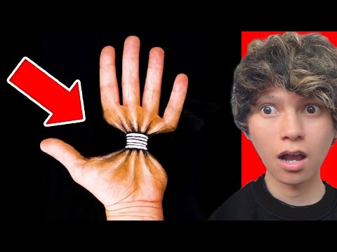 Best ART Illusions In The WORLD