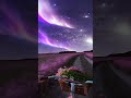 Beautiful View Gazing Heavenward Shorts Viral Trending Trendingshorts Status Sameerstaylo
