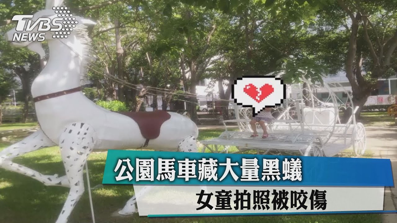 公園馬車藏大量黑蟻　女童拍照被咬傷