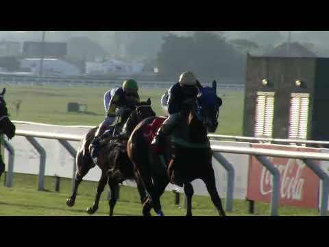 230513 c06 - GOOD GUY (BRZ) - HIPODROMO DE MARONAS
