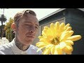 The Rocket Summer - Morning Light