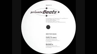 Sector Wave - Magnets (1991)