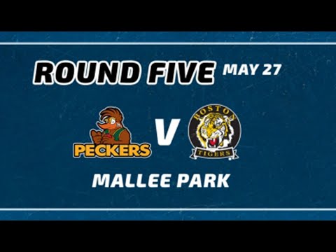 PLFL Round 5 Mallee Park V Boston