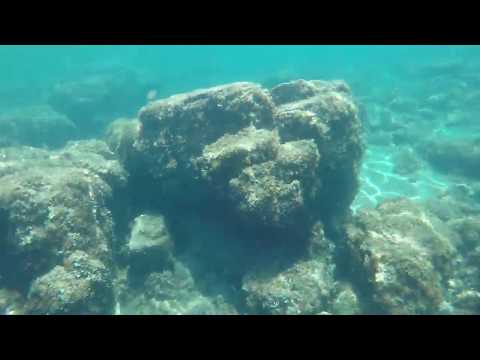 Schnorcheln in Kroatien║Kroatien/Istrien/Rovinj 🐠