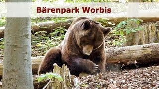 preview picture of video 'Bärenpark Worbis - Ein Ausflug'