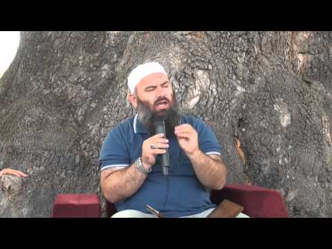 Leximi i Kuranit - Hoxhë Bekir Halimi