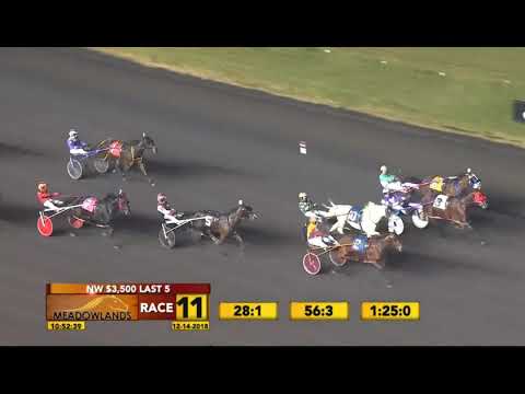 Rock On The Hill & Mitchell Cushing wins in 1.52,4 at The Meadowlands.