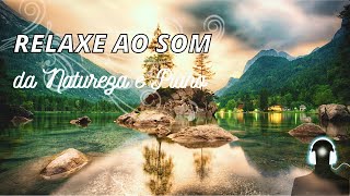 Relaxe ao Som de Piano Com a Natureza