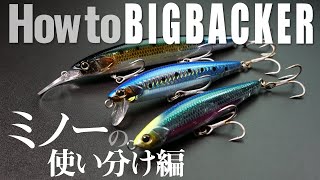 【岸上jigging】BIG BACKER彻底解说！ Minnow Edition / Shore Casting / Shogo Murakami