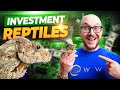 I'm Investing ALL OF MY MONEY On THESE Reptiles! Making Money With Reptiles