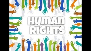 "EQUALITY ? Feminists Violate Universal Human Rights" "ZERO PERCENT BATTLE for MEN'S RIGHTS"