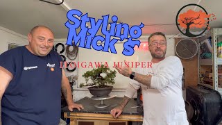Styling Micks Itoigawa Juniper Bonsai (June 2024)