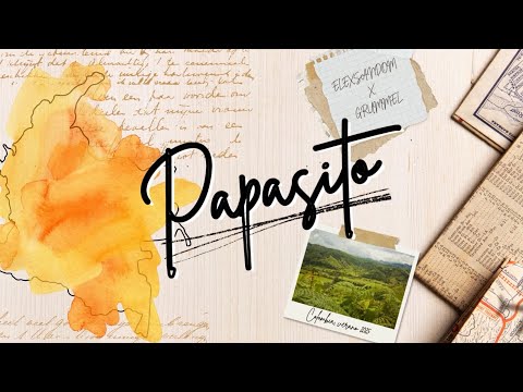 ELEXSANDOM x Grummel - Papasito (Official Visualizer)