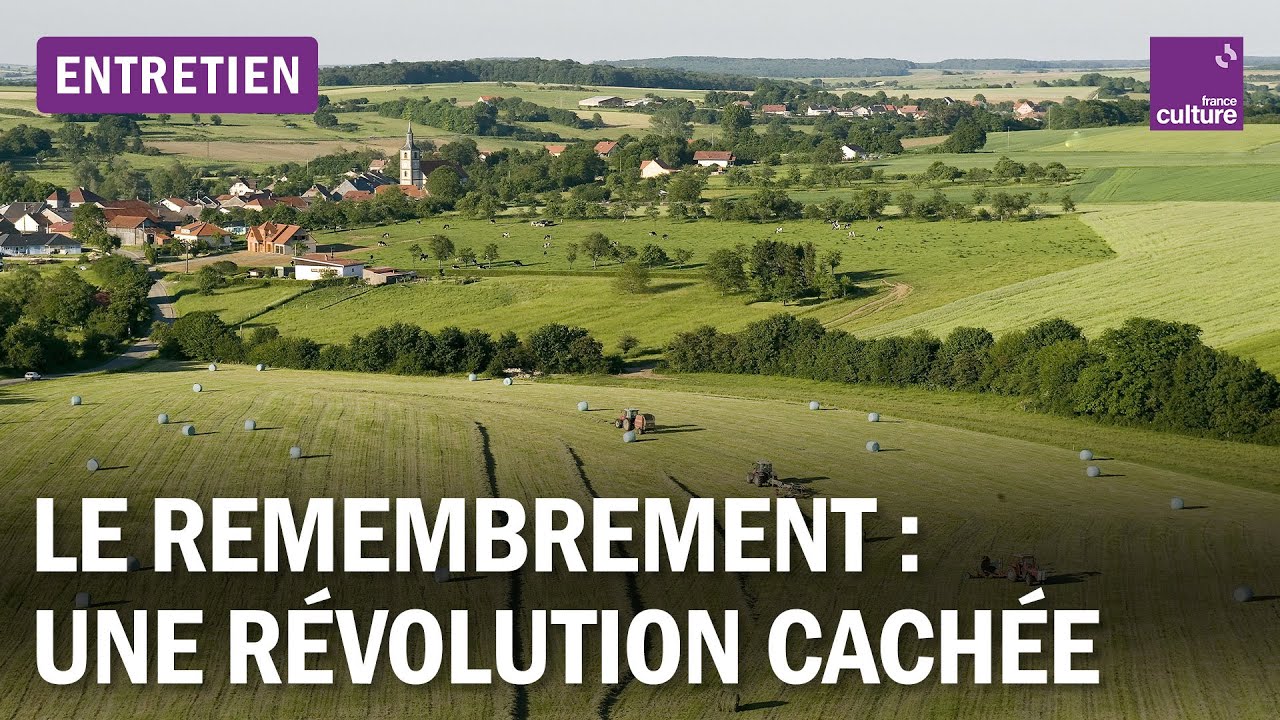 Remembrement : comment la France a transformé ses campagnes (et divisé ses villages)