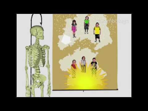 der Alltag  Hitzefrei   Karambolage   ARTE