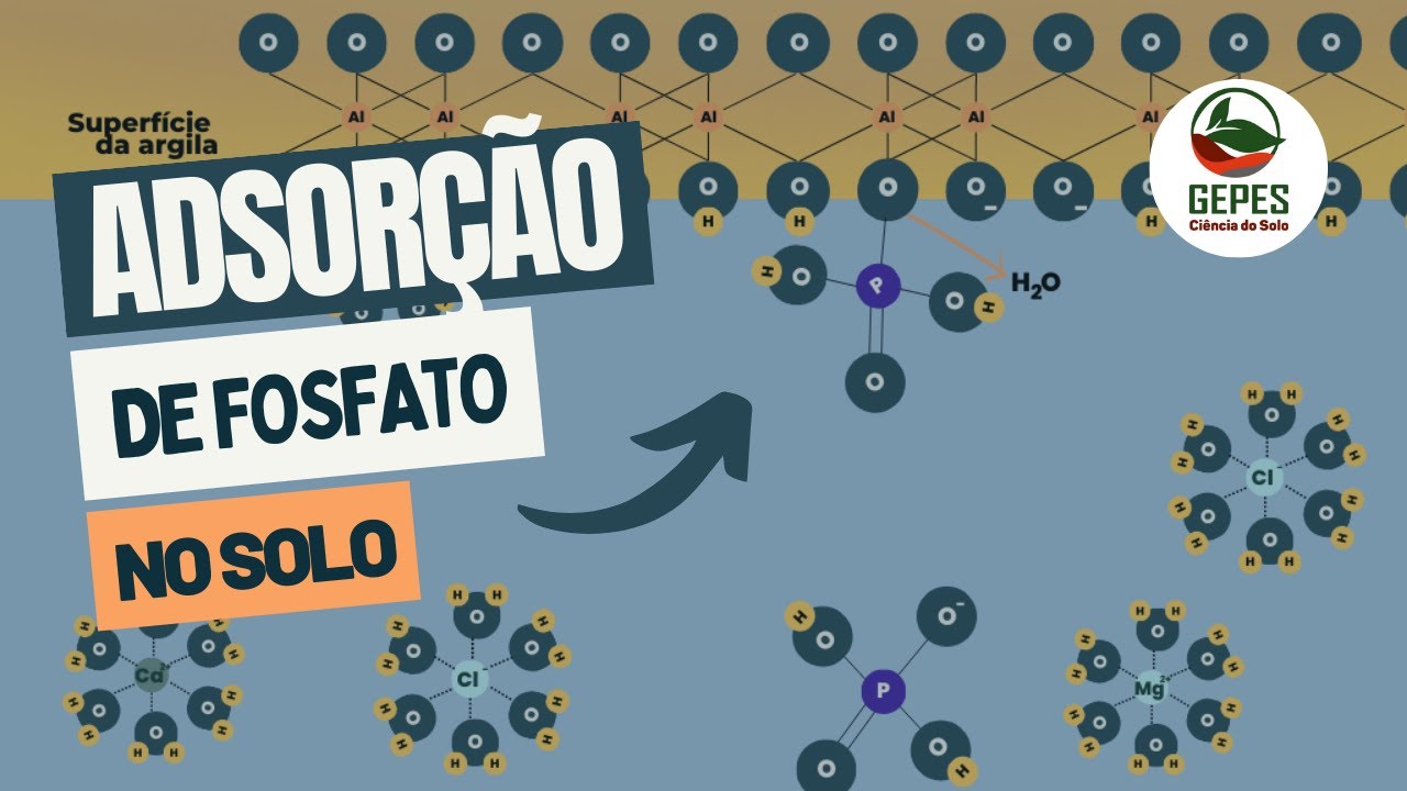 Entenda a adsorção específica ou fixação de fósforo no solo