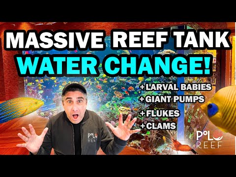 WATER CHANGE ON A 17,000 GALLON AQUARIUM + MORE!