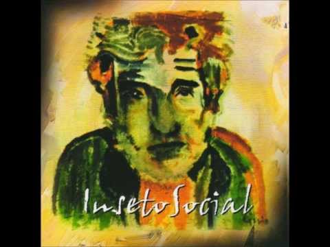 Flores Para Os Mortos - Inseto Social