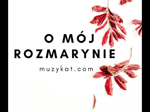 O mój rozmarynie | MuzyKat | MUZYKALNIE DLA DZIECI