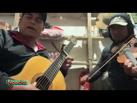 Noecito Ocaña tarazana // Cuerdas huanuqueñas Marañon  