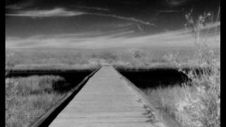 The American Analog Set   She's Half Demo