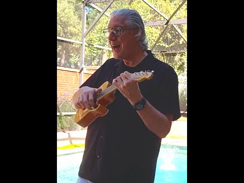 Bitch Ukulele - Von Wegen Lisbeth