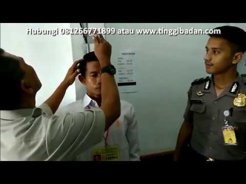 Potensi pengobatan untuk laki-laki di apotek Telur puyuh untuk potensi pada pria