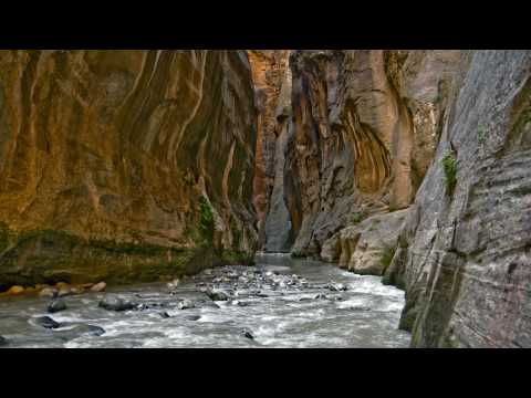 Unknown Source - Cruentus