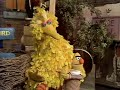 Classic Sesame Street Bert S Amnesia