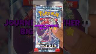 One Pokemon Journey Together Pack... One Big Chance 👀🔥
