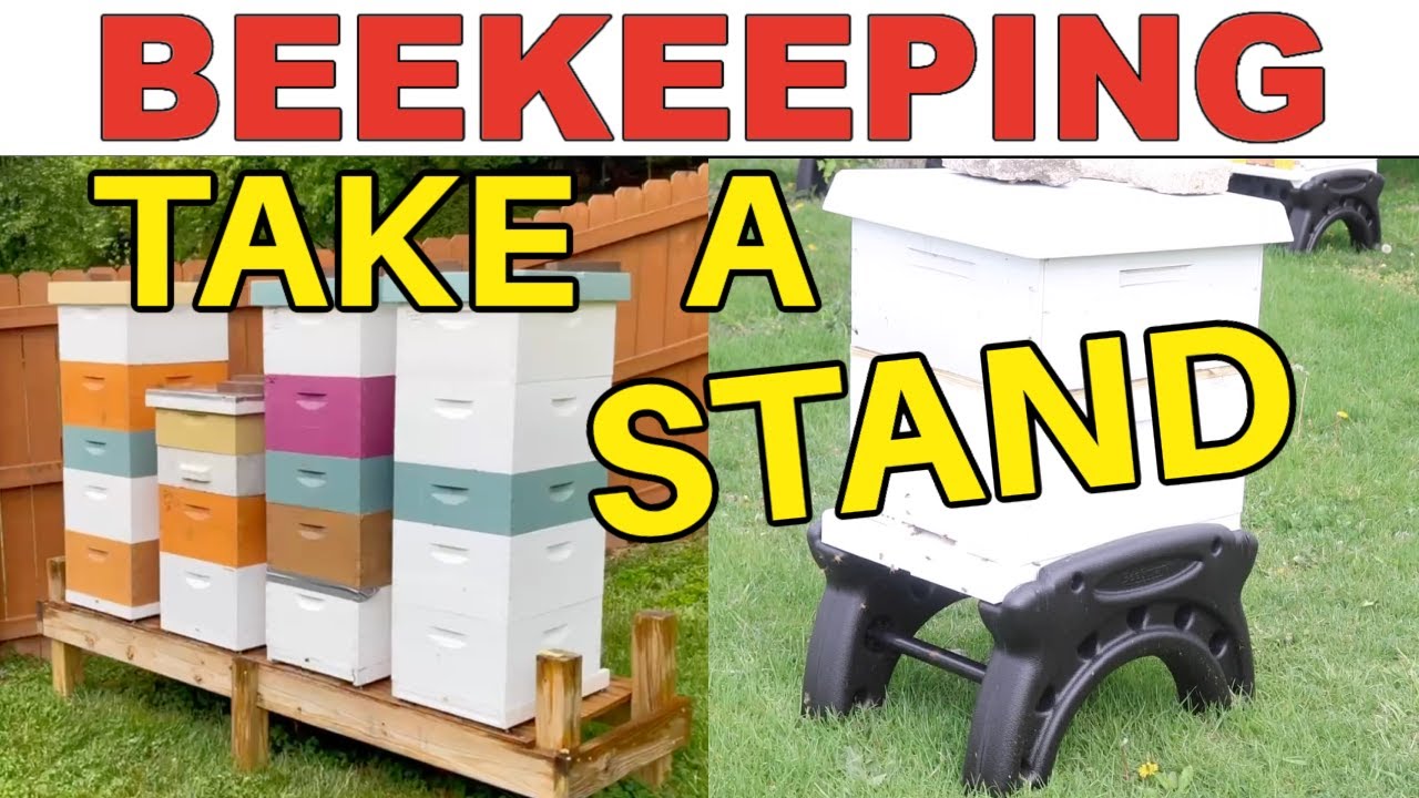 Beekeeping | It's Time To Take A Stand!
