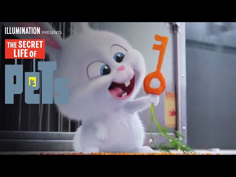 Secret Life Of Pets