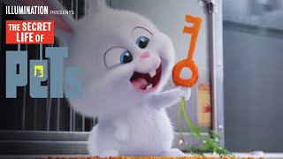 The Secret Life Of Pets | Kevin Hart Is Snowball (HD) | Illumination