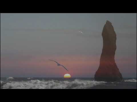 Adrian Berenguer (The Court)