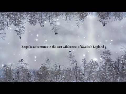 Nordguide winter bird hunting adventures