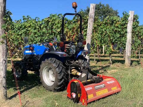 Solis 26 & Ceccato Olindo Trincione 290 [Vineyard Mulching] 4K