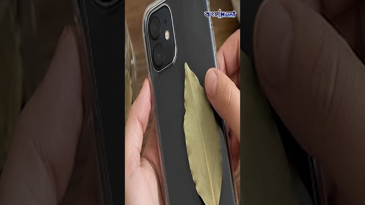 হঠাৎ ফোনের কভারের পেছনে তেজপাতা রাখছেন কেন সবাই? কোন অন্ধবিশ্বাসে মেতেছে নেটপাড়া?