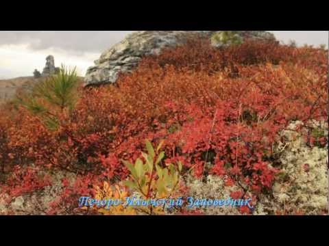Красоты Печоро-Илычского Заповедника