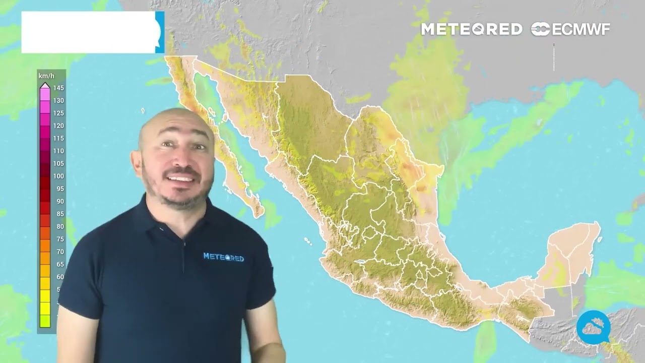 youtube video id=k8WCSglIHSk