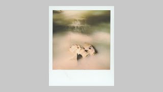 Polaroid Originals SX-70 Film Review