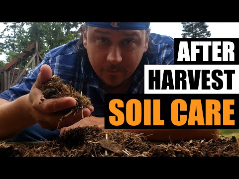 After Harvest Bed and Soil Care