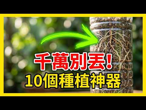 園藝不用花大錢！10個被你丟進垃圾桶的種植神器