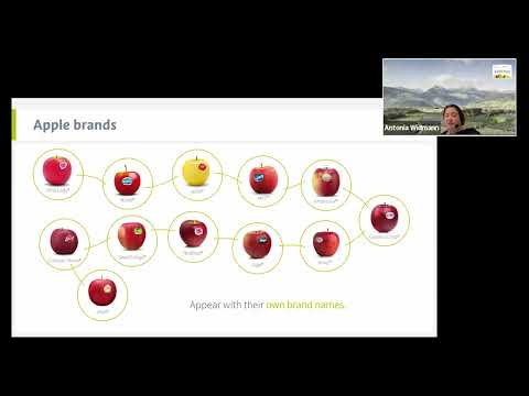 IP Key SEA - Overcoming Challenges in Exporting South Tyrolean Apples to Vietnam