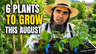 6 Vegetables to Grow in August for a Late Harvest