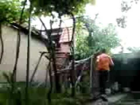 Filip Stevanovic's SLAM Dunk