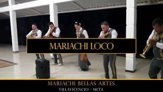 Video de Mariachi Loco