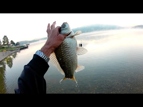 UDARA KRUPNA BABUSKA BEZ PARDONA - 4K VIDEO