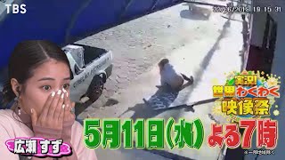 広瀬すずもビックリ!! “神声芸能人”が実況で花を添える!!『実況!世界わくわく映像祭』5/11(水)【TBS】