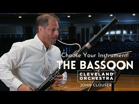 Choose Your Instrument! | Bassoon