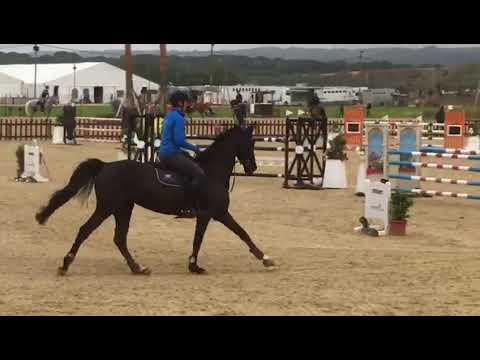 Jamie Gornall & Caliba Sunshine Tour 2018